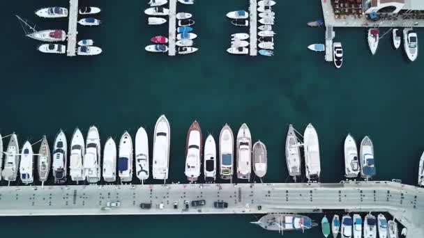 De cima para baixo Vista aérea de barcos atracados na Marina Nova Limassol, Chipre, transporte de água, luxo — Vídeo de Stock