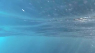 Su altı fotoğrafçılığı. Güneş ışınları su yüzeyini delip geçiyor. Açık Akdeniz