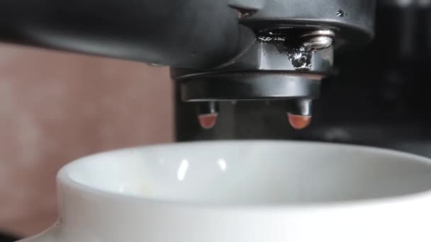 Cafetera. Bebida vigorizante aromática fresca. Primer plano de goteo de café de una máquina de café profesional en una taza blanca — Vídeo de stock