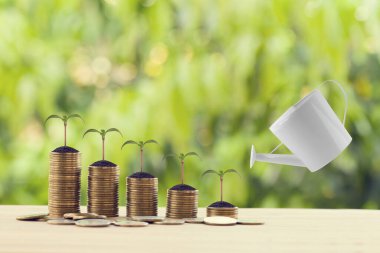 Bankacılık ve finans, tasarruf konsepti: Su, doğal yeşil arka planda tahta masaya yükselen bozuk paraların üzerine dökülüyor. Sürdürülebilir büyüme için varlık güvenliğini gösterir.