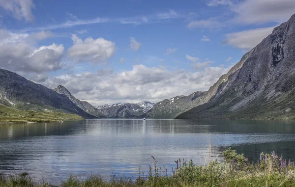 Malerische Sommerszene Des Westlichen Norwegen Farbenfrohe Aussicht Auf Den Fjord — Stockfoto