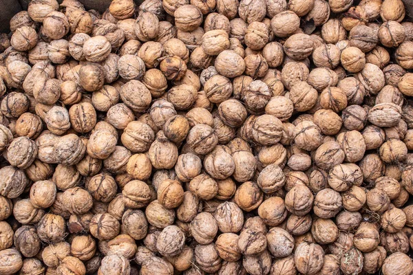 Unshelled browned walnuts. — ストック写真