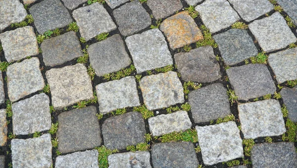 A fragment of the road surface in the old city. — Stock Fotó