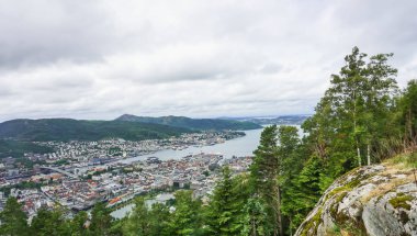 Tarihi ve modern şehir merkezinin en üst manzarası bir çalılığın yaprakları arasında. Seçici odak.