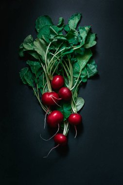 vegetables background beautiful radish with herbs on a black background