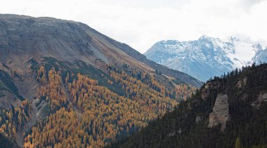 Gebirge im Nationalpark der Schweiz