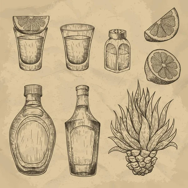 Glass and bottle of tequila. Cactus, salt and lime. Hand drawn engraved vector vintage illustration. — ストックベクタ