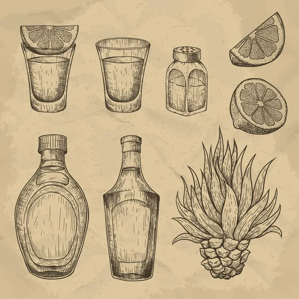 Glass and bottle of tequila. Cactus, salt and lime. Hand drawn engraved vector vintage illustration. — 스톡 벡터