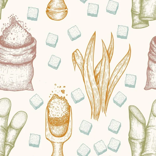 Płynny wzór trzciny cukrowej: cukier trzcinowy i trzcina cukrowa. Wektor ręcznie rysowane grawerowane zestaw ilustracja. — Wektor stockowy