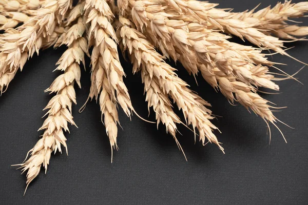 Heap Wheat Stems Close Black Background — 스톡 사진