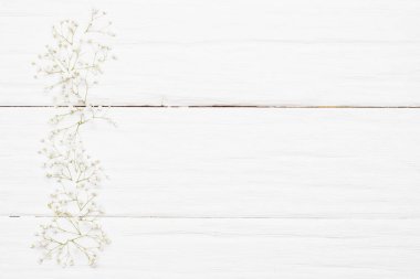 Beyaz düz bir zeminde çingene çiçekleri soyut bir zemin oluşturur.