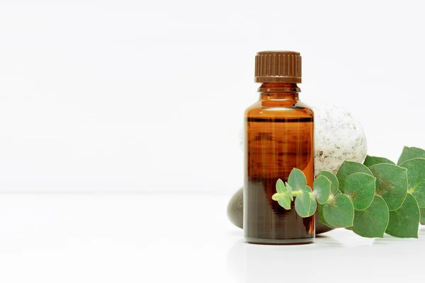 Ätherisches Eukalyptusöl Der Flasche Vor Weißem Hintergrund — Stockfoto