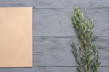 Yeşil yapraklı okaliptüs ağacı dalı ve ahşap masa zemininde kahverengi kağıt sayfa.