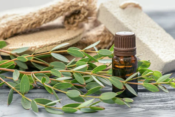 Şişede gerekli okaliptüs yağı ve yeşil yapraklı bir okaliptüs ağacı dalı..