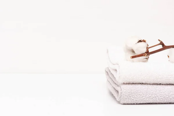 Cotton Towels Cotton Tree Branch White Background — Stock Photo, Image