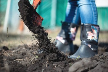Bahçıvan bahçeye yakın bir kürekle bir çukur kazıyor..