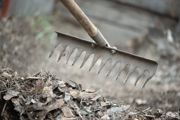 Fallen Leaves Rake Close Background — Stock Photo, Image