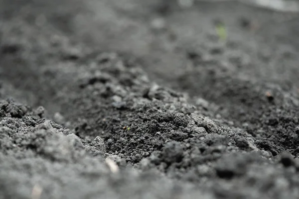 Garden Soil Close Abstract Background — Stock Photo, Image