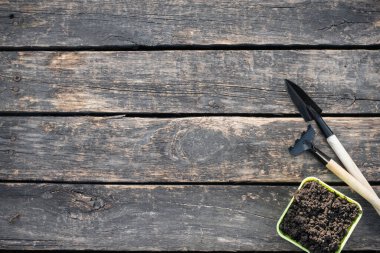 Bahçe araçları ahşap bahçe tablo düz zemin üzerinde fotokopi alanı ile yatıyordu.