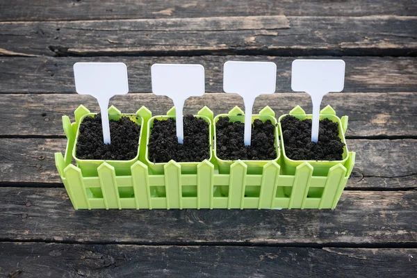 Macetas Verdes Con Suelo Placas Nombres Plantas Sobre Fondo Mesa — Foto de Stock