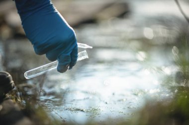 Havuz suyu kirliliği kavramı. Bilim adamı kirli su örneklerini bir göletten test tüpüne alıyor..