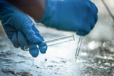 Havuz suyu kirliliği kavramı. Bilim adamı kirli su örneklerini bir göletten test tüpüne alıyor..