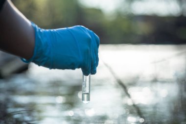 Havuz suyu kirliliği kavramı. Bilim adamı kirli su örneklerini bir göletten test tüpüne alıyor..