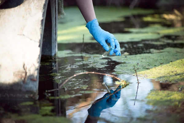 Havuz Suyu Kirliliği Kavramı Bilim Adamı Kirli Örneklerini Bir Göletten — Stok fotoğraf
