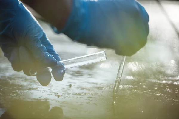 Koncept Znečištění Vody Jezírku Vědec Odebírá Vzorky Špinavé Vody Jezírka — Stock fotografie