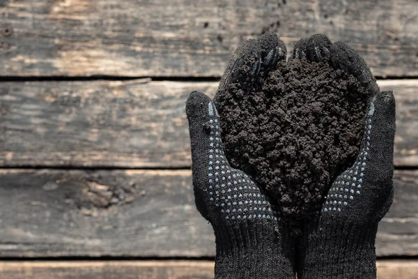 Tangan Tukang Kebun Memegang Tumpukan Tanah Dekat Atas Lantai Kayu — Stok Foto