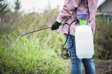 Elinde bahçe spreyi olan bahçıvan yaklaş..