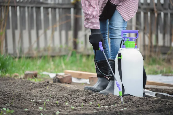 Tukang Kebun Dengan Penyemprot Kebun Tangan Dekat — Stok Foto