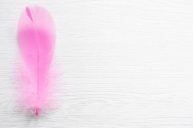 Fotokopi alanı olan beyaz ahşap bir zemin üzerinde pembe kuş tüyü.