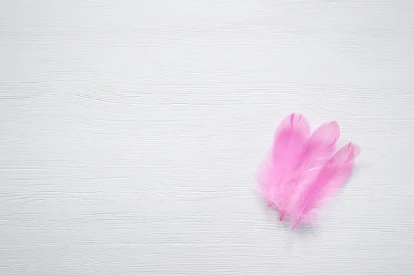 Pink Bird Feather White Wooden Background Copy Space — Stock Photo, Image