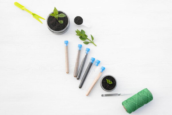 Samples of different types of soil in test tube and green plants in the jar on the table. Soil science concept.