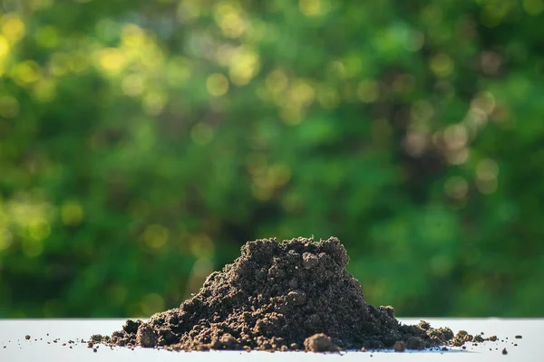 Jord Bordet Närbild Grön Naturlig Bakgrund — Stockfoto