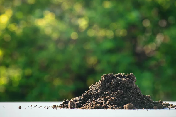 Jord Bordet Närbild Grön Naturlig Bakgrund — Stockfoto