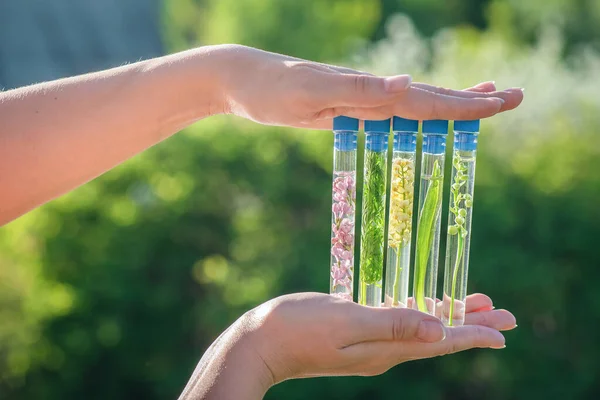 Different types of plants in the test tubes in female hands close up. Botany concept.