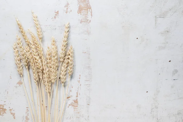 Buğday kökleri beyaz ahşap masa üzerinde düz bir zemin ve kopyalama alanı ile yatıyordu.