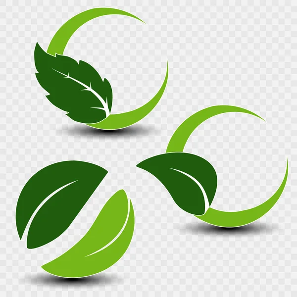 Vektorillustration Natürliche Symbole Mit Blättern Auf Transparentem Hintergrund — Stockvektor