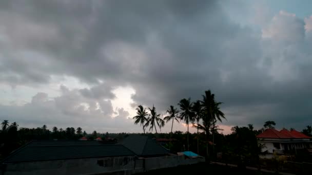 Dark Tropical Evening Stormy Sihouette Palm Trees Clouds Zonsondergang Einde — Stockvideo