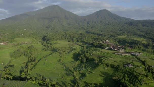 View Stunning Aerial View Jatiluwih Rice Terrace Fields Sunrise Jatiluwih — Stock Video