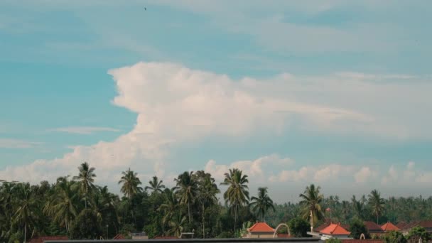 Bewegende Wolken Boven Palmen Blauwe Lucht Indonesische Huizen Prachtige Tijdspanne — Stockvideo