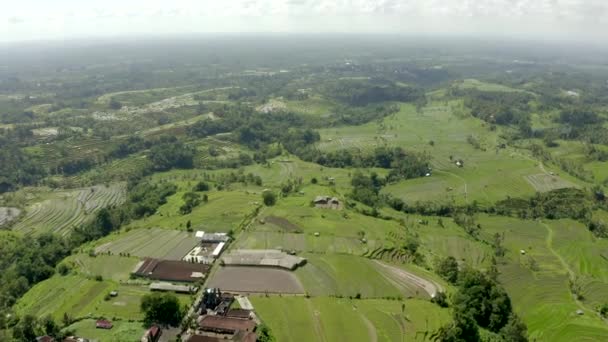 Terrazas de arroz Jatiluwih. Disparo aéreo . — Vídeos de Stock