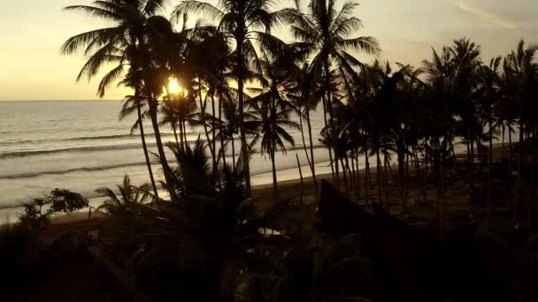 Silhouet palmen bij zonsondergang op het strand met lichtstralen. — Stockvideo