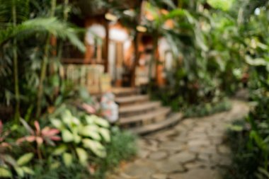 Ekolojik mavi bahçe soyut kavramı. Odaklanmamış resim.