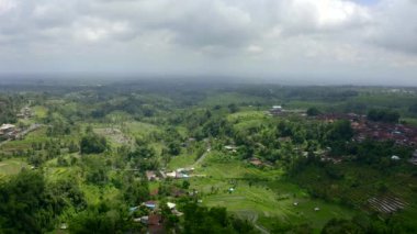 Sabah ışığında Jatiluwih pirinç terasları, Bali, Endonezya. 