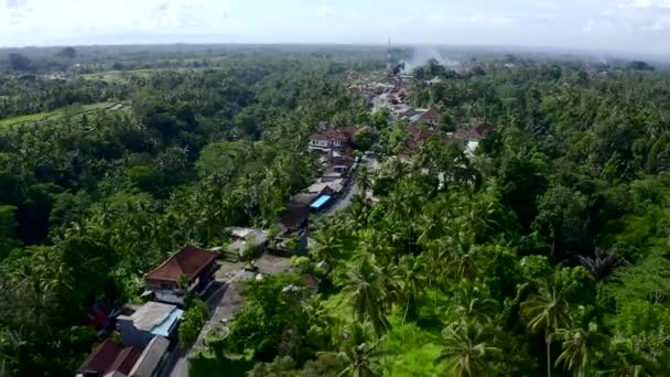 Vale dos terraços de arroz Tegalalang, Bali, Indonésia. Imagem aérea . — Vídeo de Stock