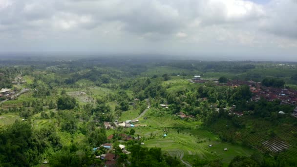 Terrazze di riso Jatiluwih alla luce del mattino, Bali, Indonesia . — Video Stock