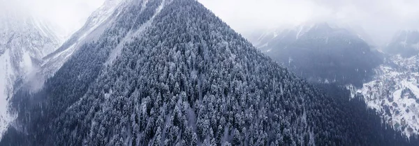 Bovenaanzicht vanuit de lucht op besneeuwde bomen van winterdennen en naalden in de bergen. Panoramische opname. — Stockfoto
